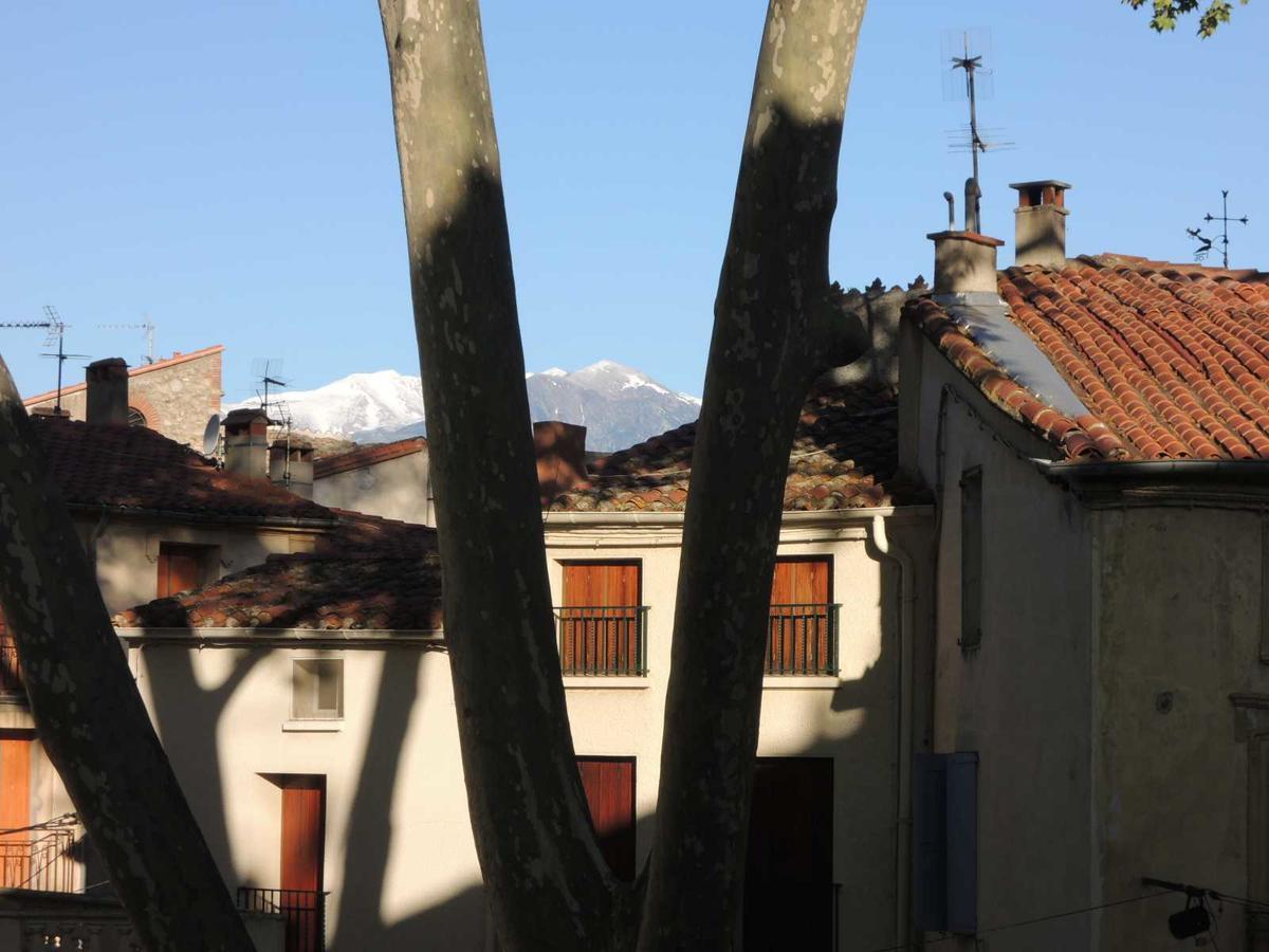 Hotel Des Arcades Céret Exteriör bild